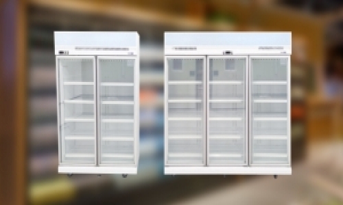 灵越立式冷冻玻璃门柜 FREEZER (PLUG-IN)